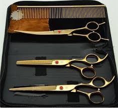 Profesyonel Makas Seti